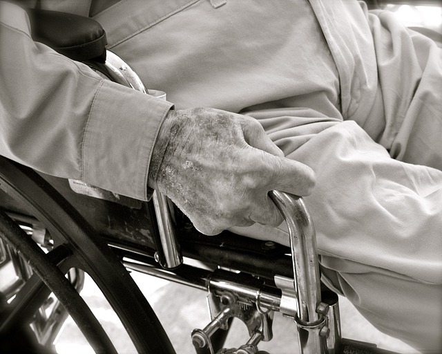 Comprehensive Guide to Elderly Companion Services for In-Home Care