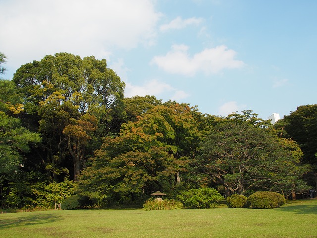 Elevate Your Outdoor Spaces: Mastering Lawn Care and Eco-Friendly Landscaping Design