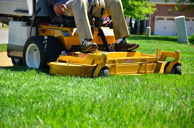 Optimal Tree Trimming and Pruning: Key to Thriving Landscapes in Lawn Care and Gardening