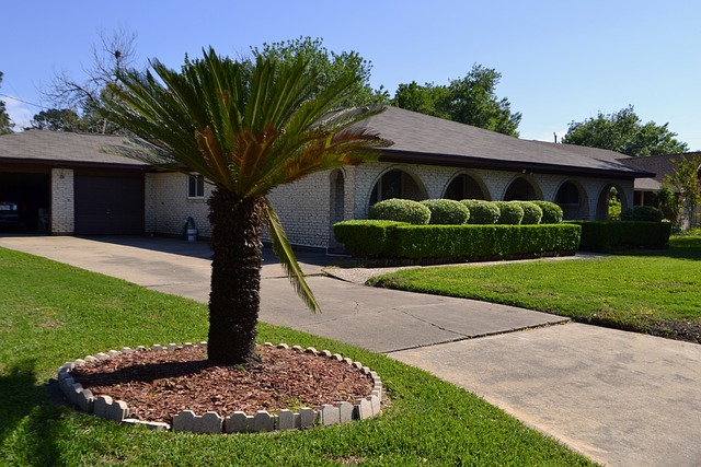 Mastering Outdoor Space Design: Expert Tips on Lawn Care and Landscaping for Vibrant Year-Round Beauty