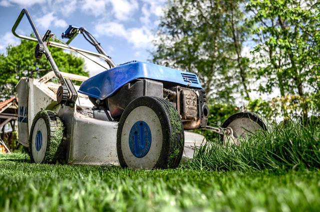 Optimizing Yards with Eco-Friendly Leaf Collection and Mulching Services