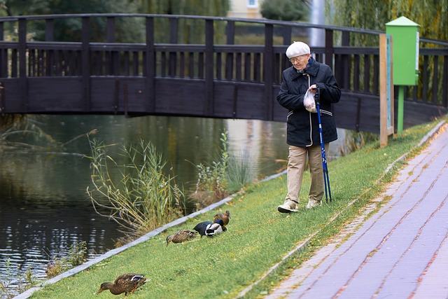 Elderly Nutrition and Companionship: A Path to Health and Social Connection