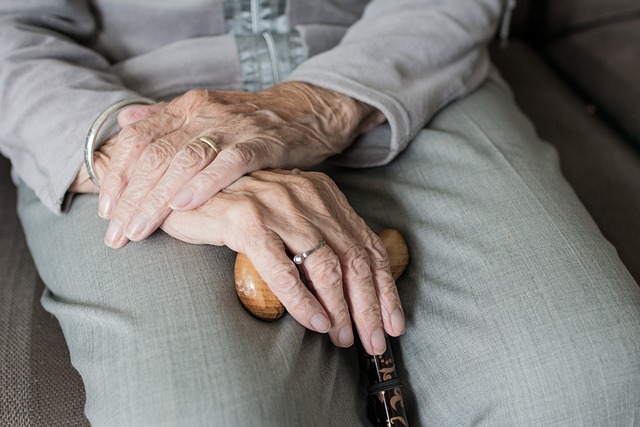 Elderly Companion Services: Revolutionizing In-Home Health Monitoring for Seniors