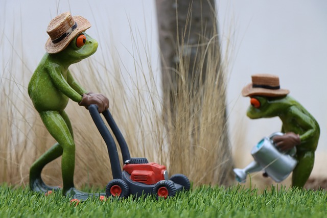 Optimizing Your Lawn’s Health: A Guide to Residential Mowing Services in Lawn Care