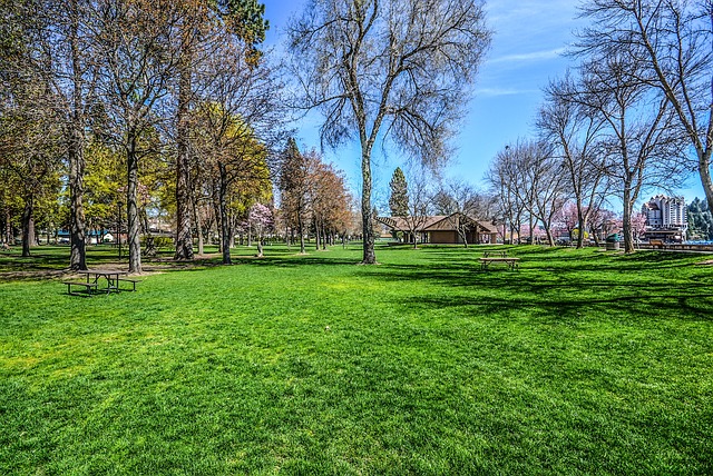 Elevate Curb Appeal: A Step-by-Step Guide to Patio and Walkway Installation in Lawn Care and Landscaping