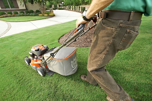 Mastering Lawn Care: Essentials of Soil for Vibrant Landscapes