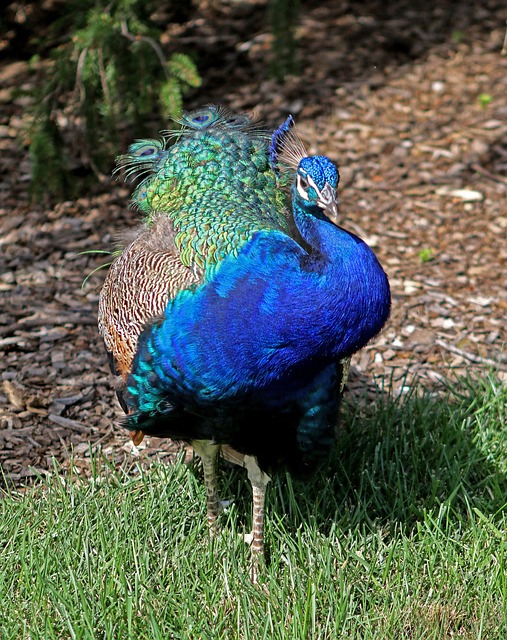 middlesex new jersey