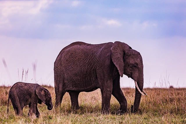 Michael J. Tighe Park: A Natural Oasis for Recreation and Ecology in Monmouth County, NJ