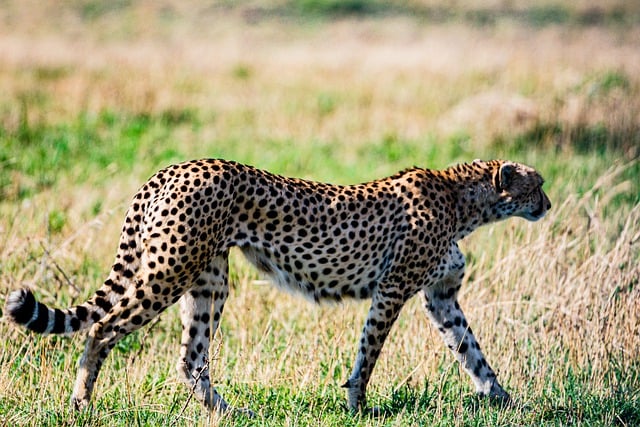 Monmouth Mall: Culinary and Shopping Hub of Eatontown, NJ