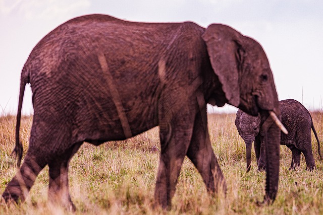 Discovering Manasquan Reservoir: Nature & Recreation in Howell, Monmouth County