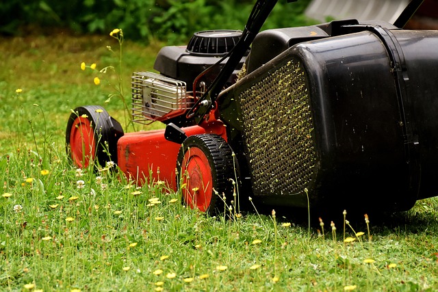 7-Word Title: Mastering Outdoor Space Design & Lawn Care Strategies