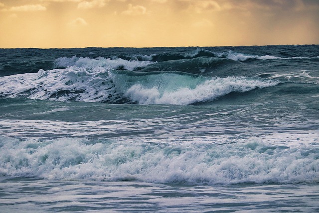 ocean new jersey