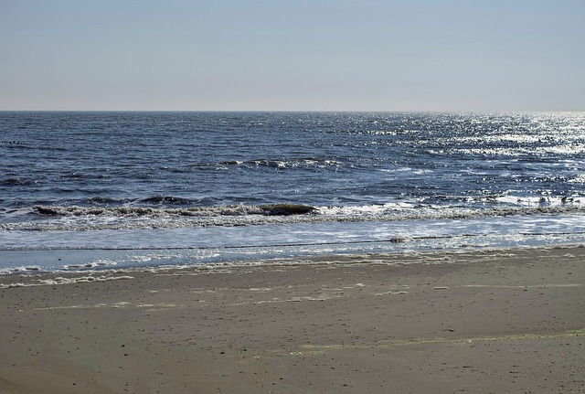 ocean-new-jersey-640x480-83164208.jpeg
