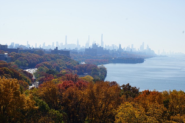 Ellis Island’s Legacy: A Cornerstone of Hudson County, NJ History and Identity