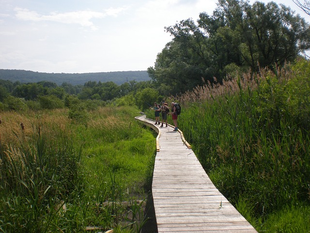 middlesex new jersey