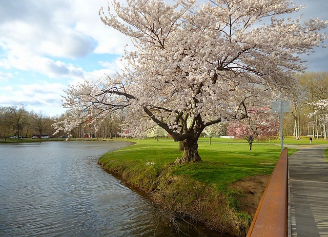 Discovering New Jersey’s Legacy: The Red Mill Museum Village Experience