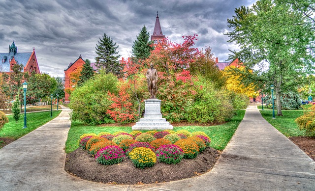 Atsion Lake’s Natural Beauty: A Jewel of Shamong in Burlington County, NJ