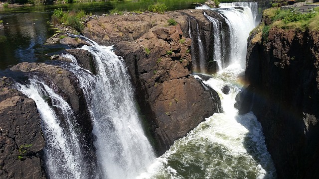 Exploring Nature’s Beauty at Parvin State Park in Pittsgrove, Cumberland County, NJ