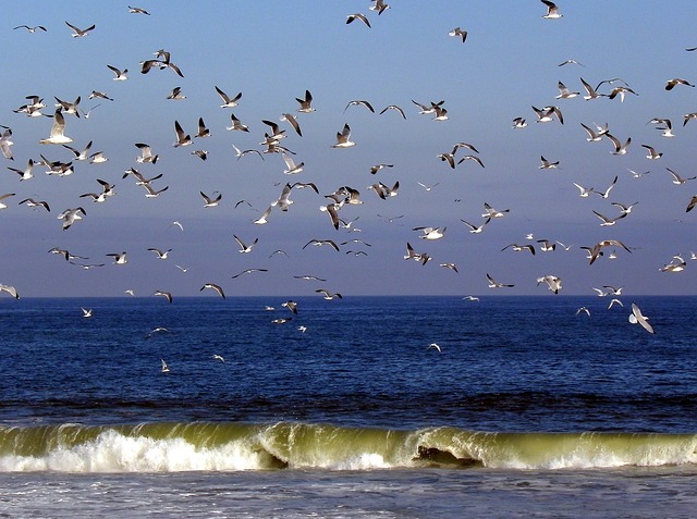 ocean new jersey