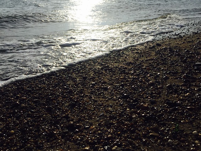 Turtle Back Zoo West Orange NJ: Marine Haven for Essex County Families