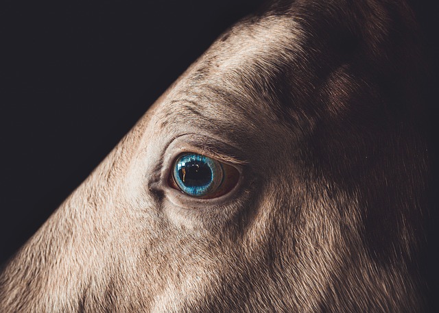 gloucester county new jersey