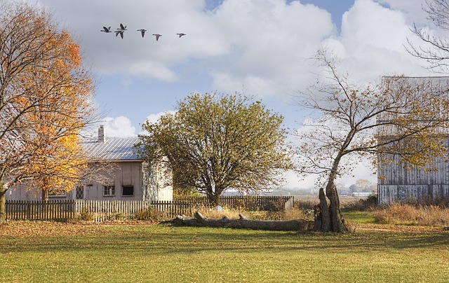 Uncovering Allaire Village’s Charm: A Historic Gem in Monmouth County, NJ