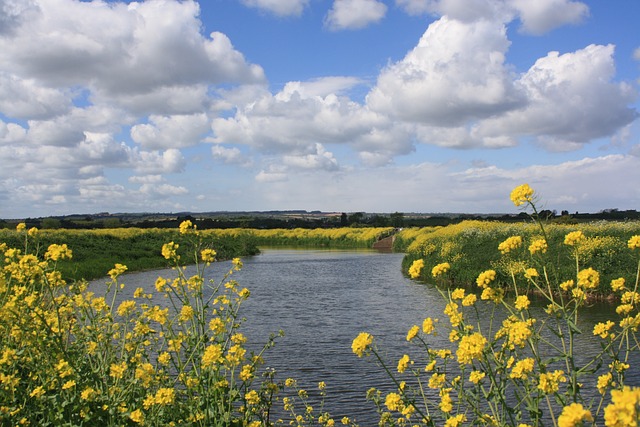 Warren NJ: Exploring Somerset County’s Vibrant Hub