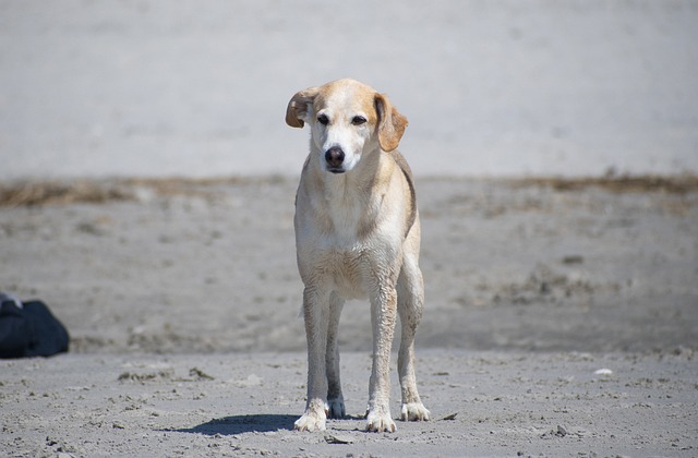 warren county new jersey