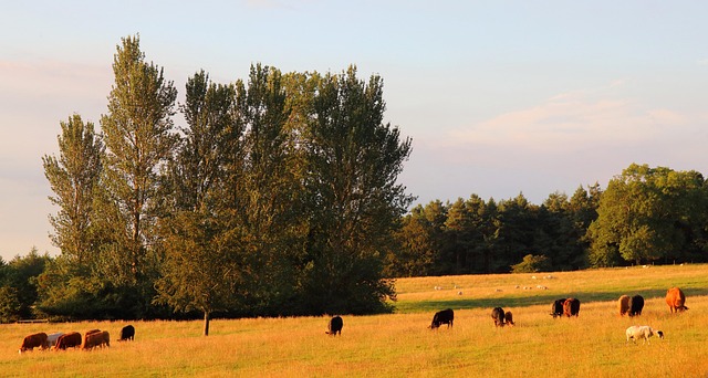 mercer county new jersey
