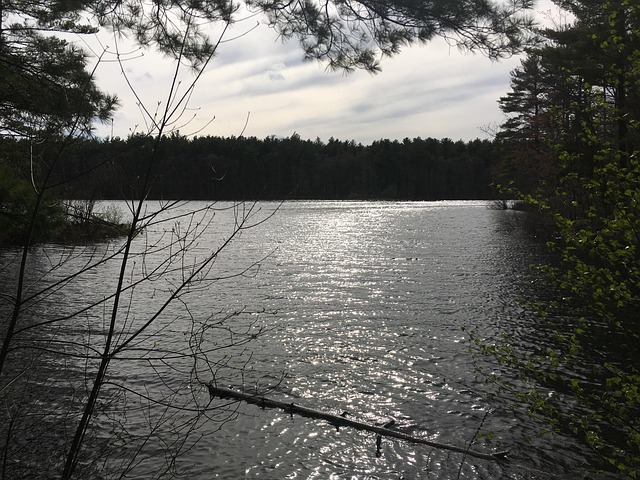 middlesex-new-jersey-640x480-60082599.jpeg