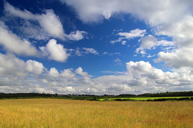 warren county new jersey