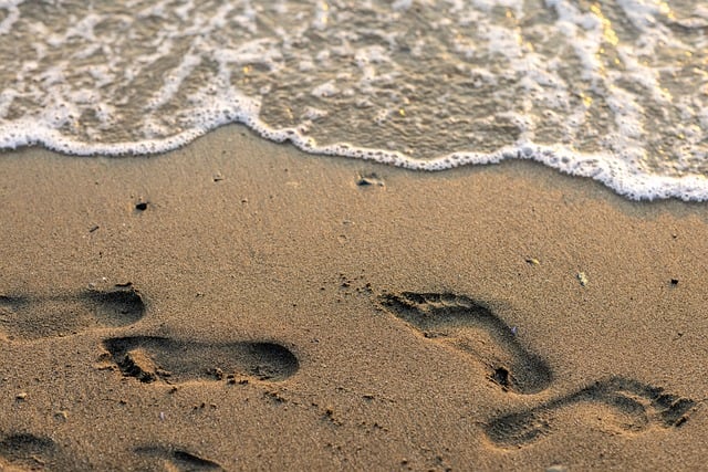 ocean-new-jersey-640x480-80321919.jpeg