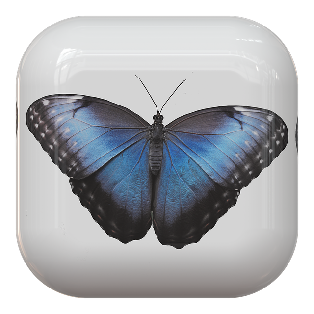 website-design-640x480-62759401.png