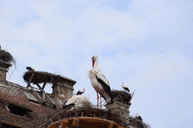 salem county new jersey