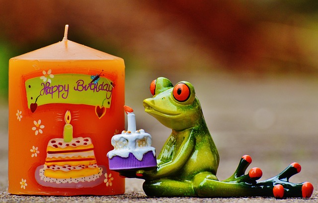 birthday cookies