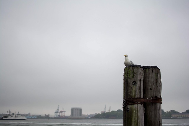 hudson county new jersey