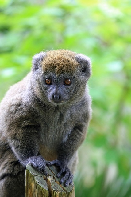 Sparta NJ: A Historical, Cultural Hub in Sussex County