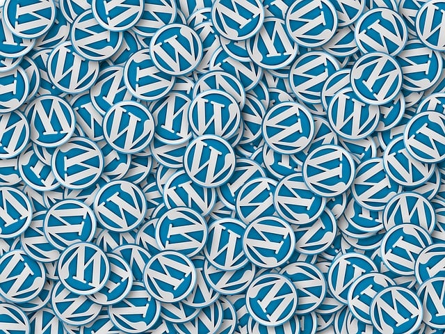 website design