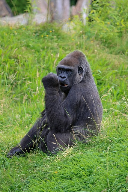 hudson county new jersey