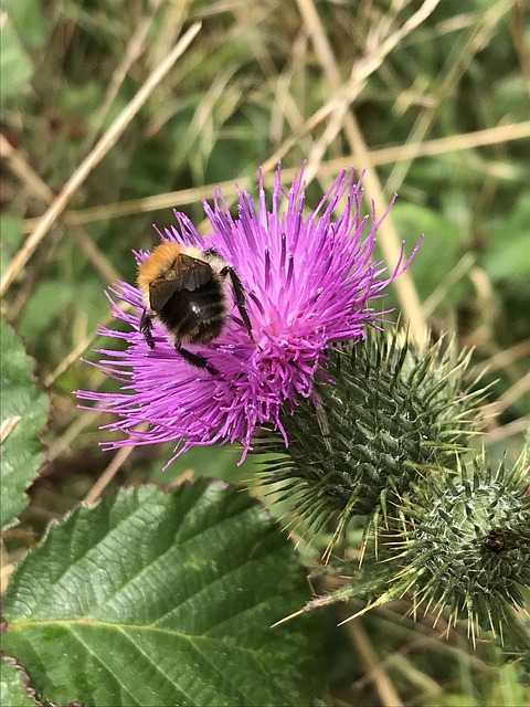 essex county new jersey