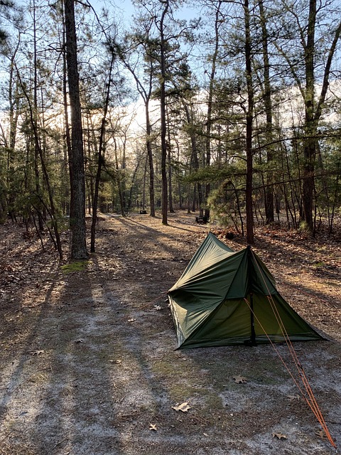 somerset-county-new-jersey-640x480-59617079.jpeg