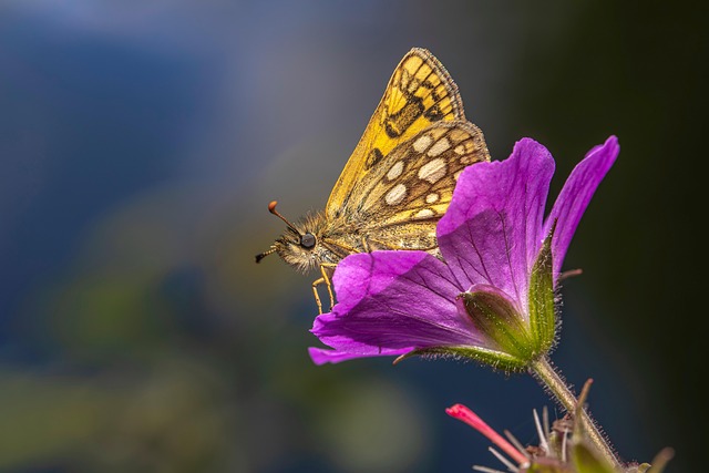 essex county new jersey