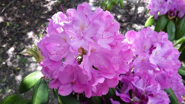 essex county new jersey