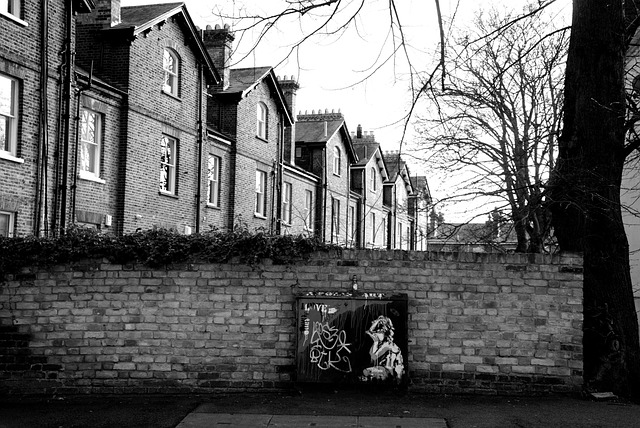 Nutley NJ: Essex County’s Hidden Gem Unveiled