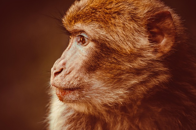 salem county new jersey