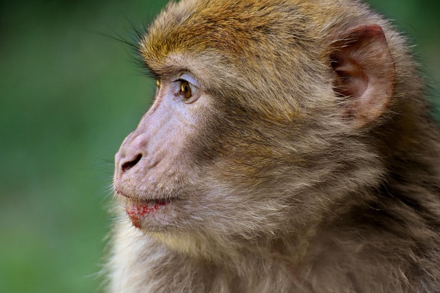 salem county new jersey