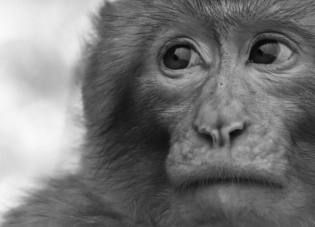 salem county new jersey