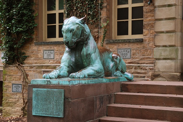 Lord Stirling Park: Somerset County’s Scenic Outdoor Legacy