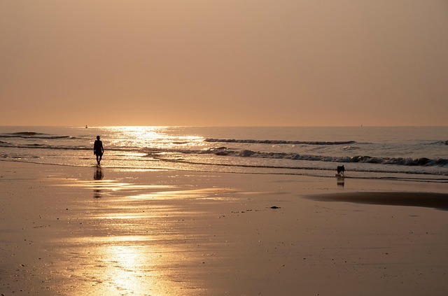 Ventnor City NJ: Coastal Charm Meets Green Innovation in Atlantic County