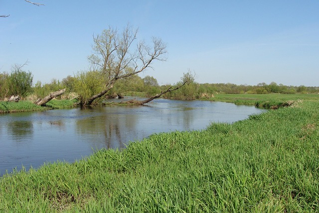 cape may county new jersey